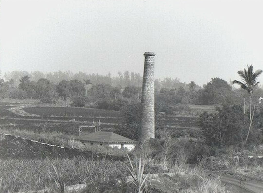  ... Halsted Sugar mill:  Old Mill Camp 