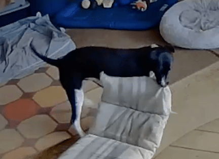 Kobe's Mess:  Sliding Door (2)