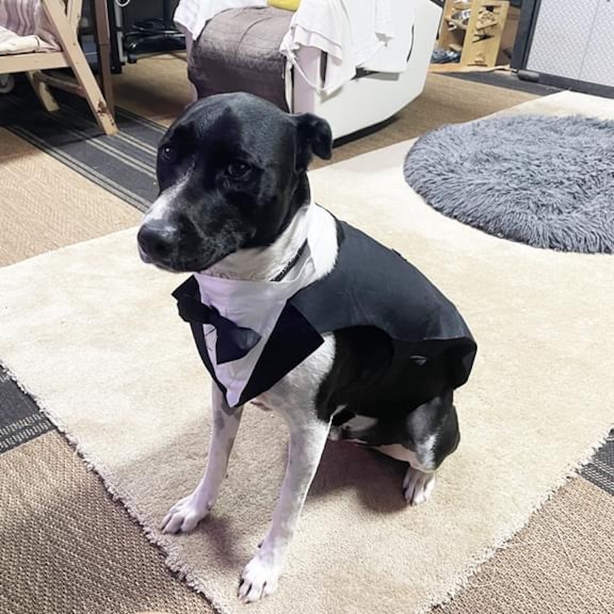  .. Halloween formal. 