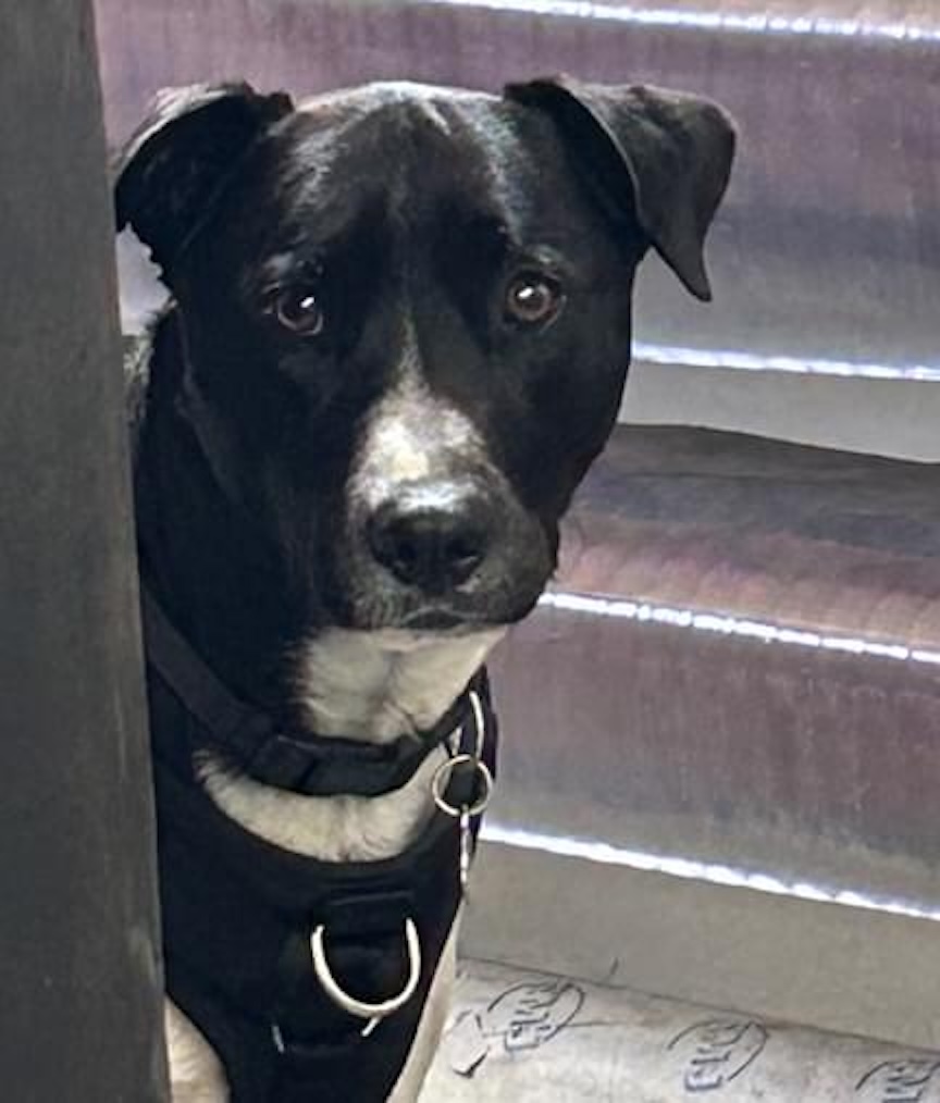  .. playing hide & seek! 