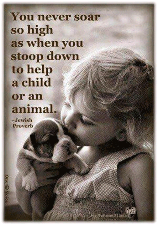 Little girl with puppy