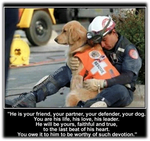 Fireman with dog