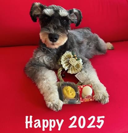 Moku:  Happy New Year
