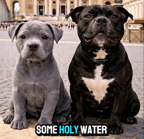 Holy Water