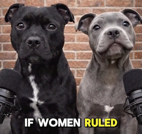 If women ruled the world…