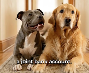 Joint bank account