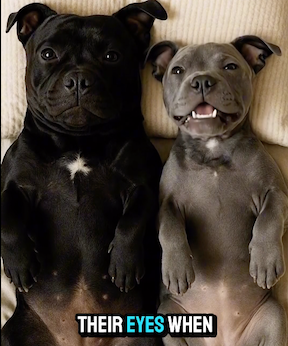 Women rub their eyes