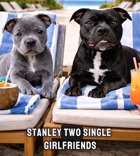 Girlfriends on holiday